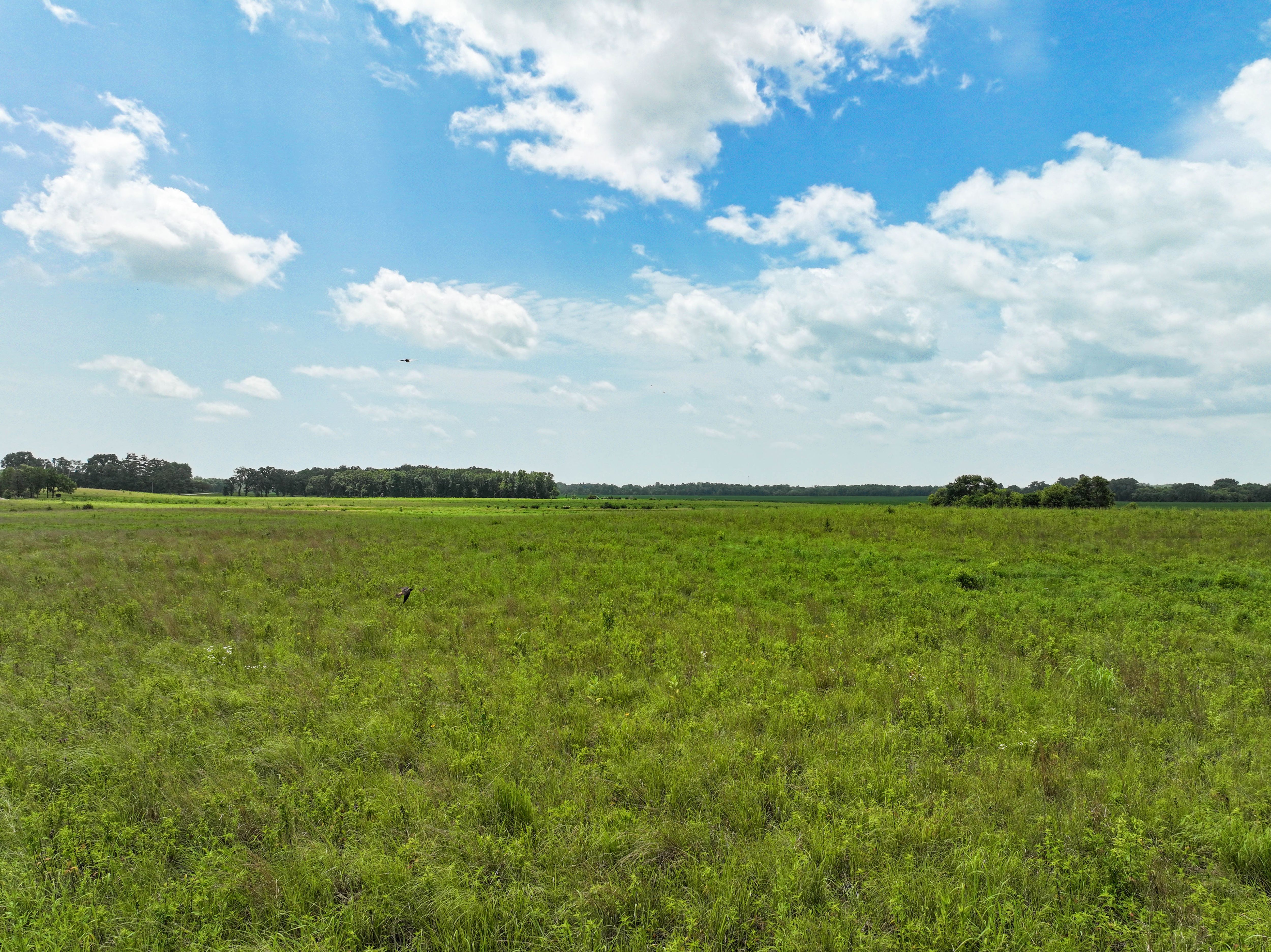 Listing Photo: 8_IA Farmland For Sale